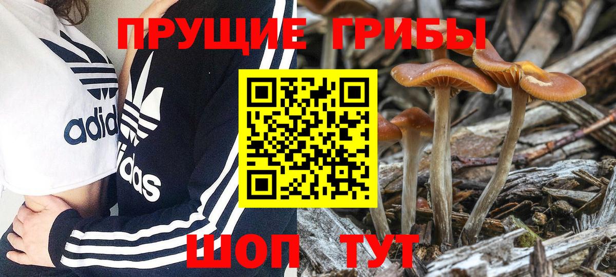 Псилоцибиновые грибы MAGIC MUSHROOMS Свободный