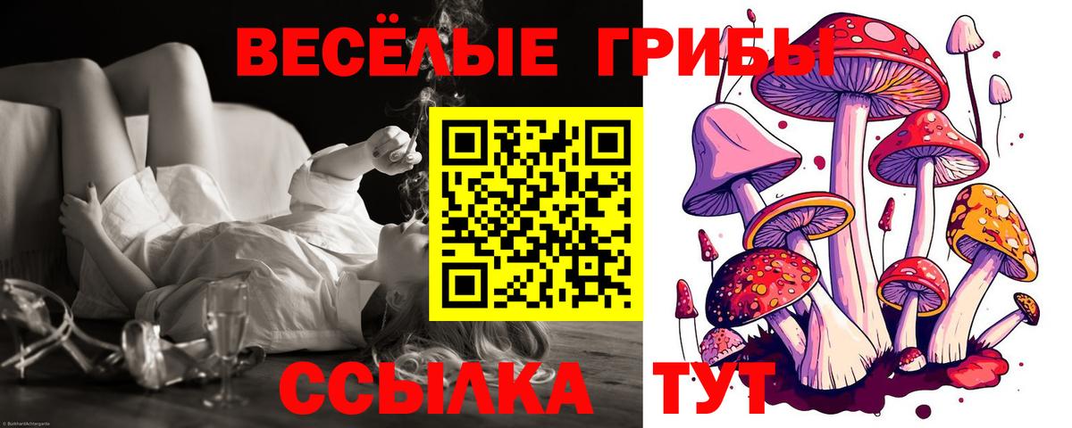 Псилоцибиновые грибы GOLDEN TEACHER  Вход с VPN  Свободный 